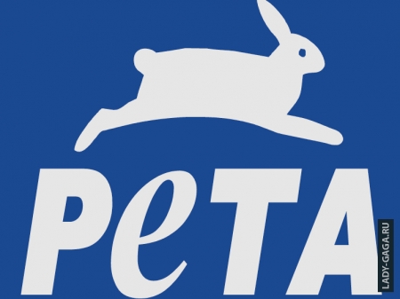 У Леди Гаги опять проблемы с PETA У Леди Гаги опять проблемы с PETA